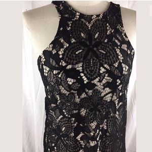 Express Lace Dress